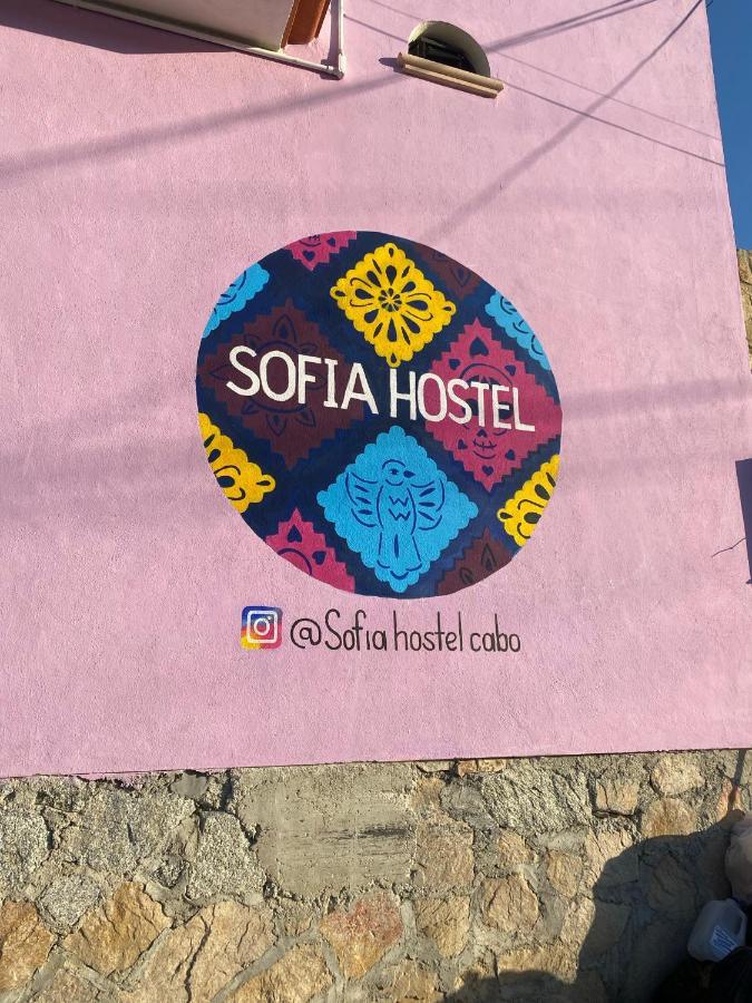 Sofia Hostel Cabo Кабо-Сан-Лукас Экстерьер фото